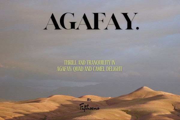 Agafay Experiences: Thrill and Tranquility - Quad and Camel Delight